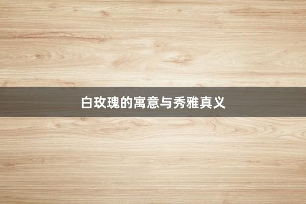 白玫瑰的寓意与秀雅真义